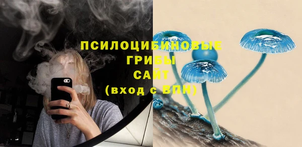 стаф Володарск