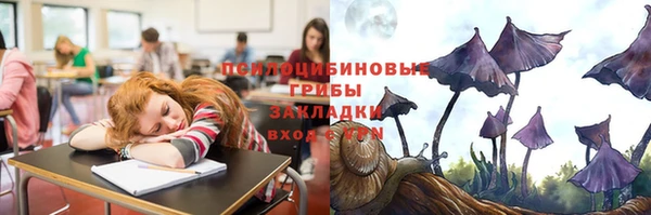 стаф Володарск