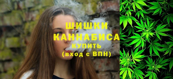 стаф Володарск