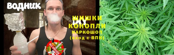 стаф Володарск