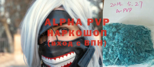 стаф Володарск